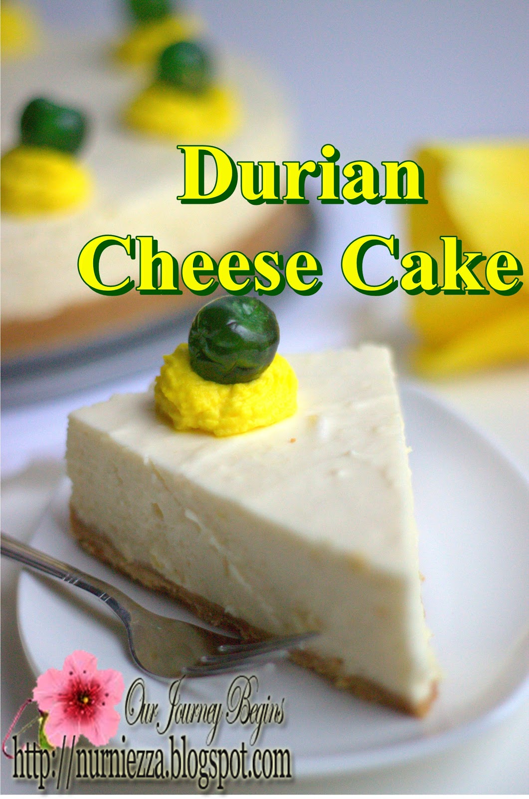 Our Journey Begins: Non - Bake Durian Cheese Cake
