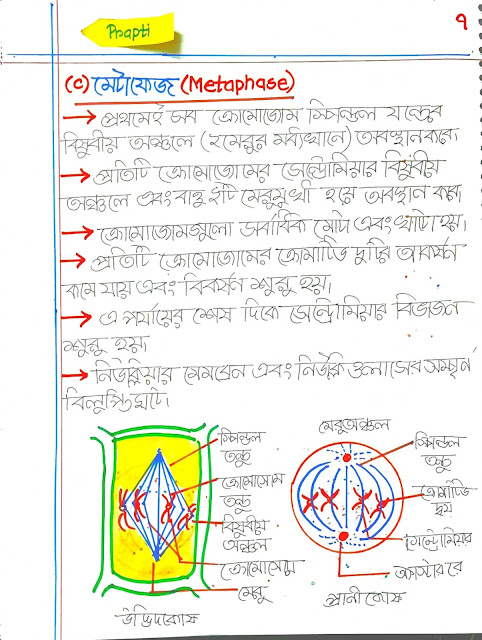 SSC Biology Chapter 3 Hand Note