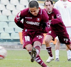 merino