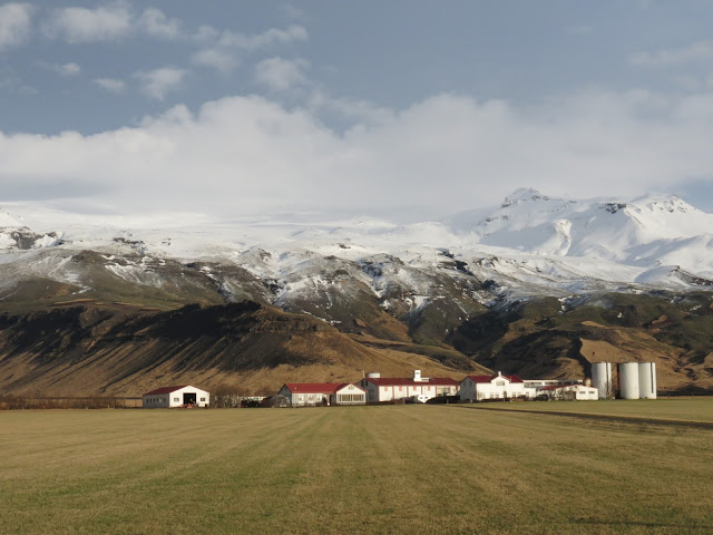 Iceland town houses