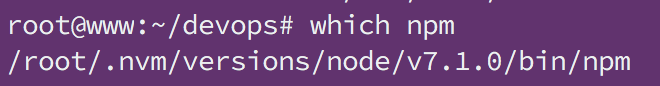 Fix sudo: npm: command not found and pm2 command not found