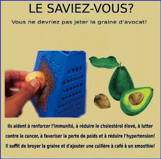 noyau d'avocat, bienfaits du noyau d'avocat, antioxydants naturels, digestion saine, perte de poids, remède naturel, santé digestive, inflammation, système immunitaire, fibres alimentaires, soins capillaires naturels, soin de la peau, alimentation saine, astuces bien-être, alimentation naturelle