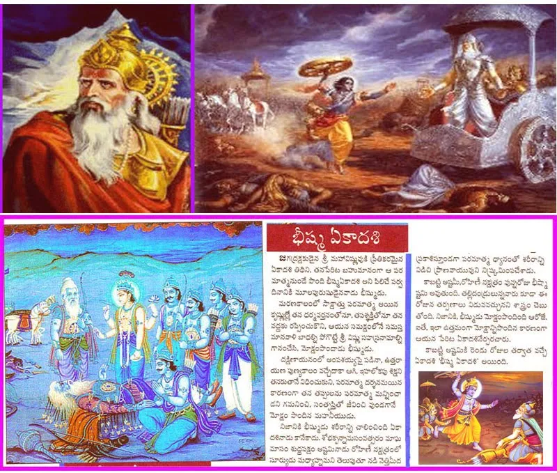 భీష్మ ఏకాదశి - Bhisma Ekadashi