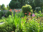 Felicia's Garden (Le Jardin de Félicie) in Maricourt