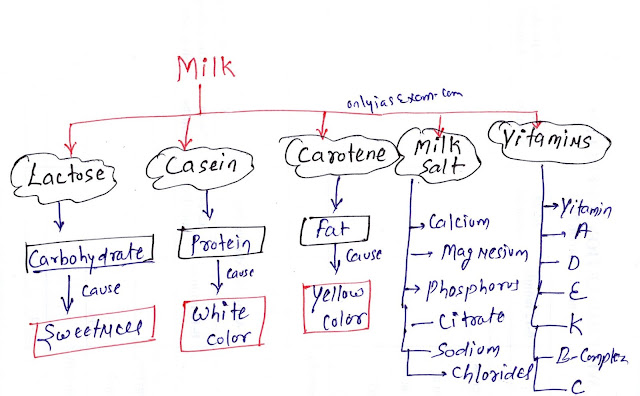Milk Composition | Lactose, Casein, Carotene, Vitamins, and Milk Salt