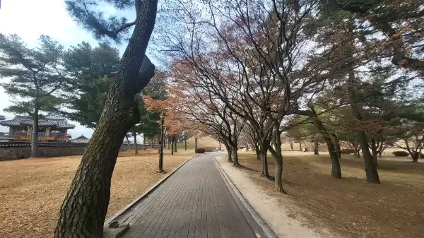 경주-대릉원-단풍구경