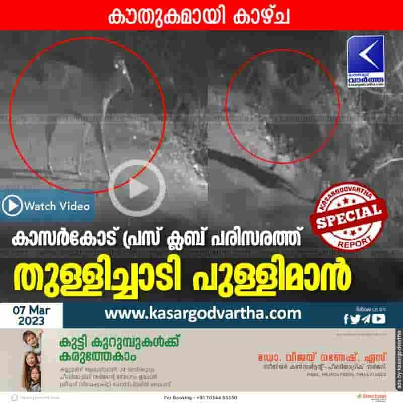 Latest-News, Kerala, Kasaragod, Top-Headlines, Animal, Viral-Video, Video, Press Club, Entertainment, Deer, Press Club Kasaragod, Deer spotted at Kasaragod city.