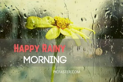 Beautiful - Rainy Good Morning Images, Photos [2020]