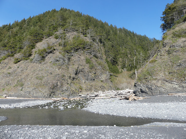 creek mouth choked with thrown up wood