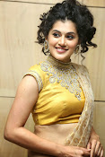 Taapsee Pannu Photos Tapsee latest stills-thumbnail-44