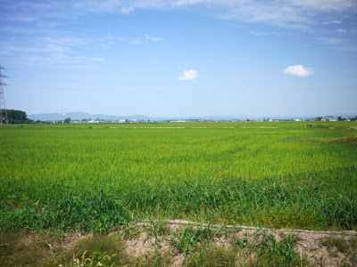 石狩平野の田園風景