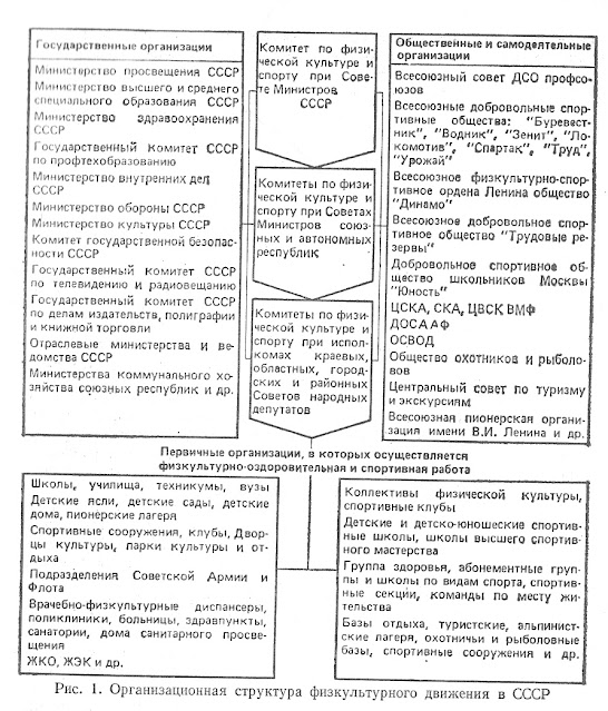Организационная структура физкультурного движения в СССР