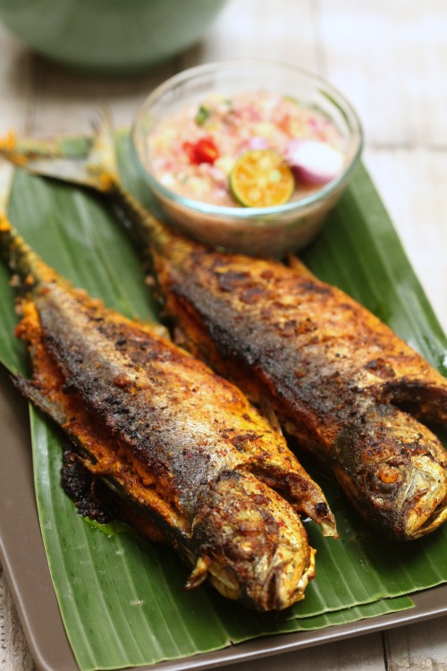 Masam manis: Ikan Cencaru Sumbat Sambal