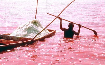 danau merah  muda
