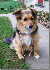 Willow necklace