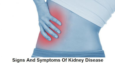 kidney disease: causes, symptoms, diagnosis and treatment