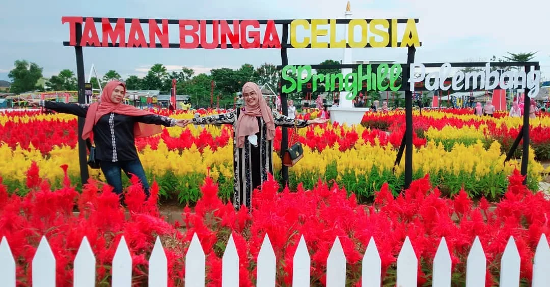 taman bunga celosia springhill palembang