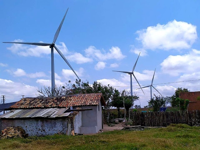 Parques eólicos destroem plantações, criação de animais e forçam agricultores para êxodo rural