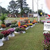 River City Flea. The place for plants in Elizabeth City. Open Now!