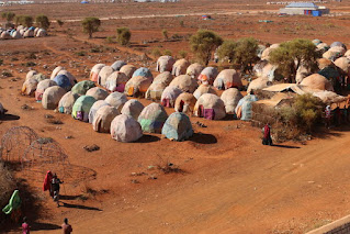 Somalia: drought leaves 1 million displaced  One million is the number of people displaced by the historic drought in Somalia. Plunging this country in the Horn of Africa into famine.  More than 700,000 people have found refuge inside the country while around 300,000 others have decided to flee abroad. Figures released Thursday by the United Nations Refugee Agency and the Norwegian Refugee Council .  These organizations are already sounding the alarm: there is literally no water or food in their villages. There is an urgent need to increase aid funding before it is too late."  The forecasts worry. A failed fifth rainy season could displace several more families.  The number of people facing increased levels of hunger in Somalia is expected to rise from some five million to more than seven million in the coming months, compounded by climate change and rising food prices caused by the war in Ukraine . UNHCR said .  Besides Somalia, Ethiopia and Kenya are also in the grip of the worst drought in more than 40 years, after four failed rainy seasons that decimated crops and livestock.