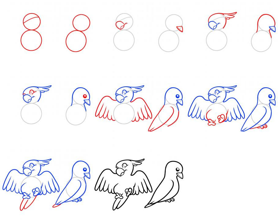 drawing art How to Draw Birds