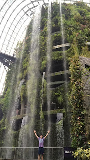 Cloud Forest, Gardens by the Bay