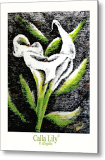 http://c-f-legette.pixels.com/featured/calla-lily-ii-c-f-legette.html