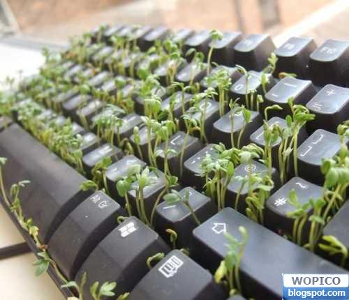 Green Keyboard