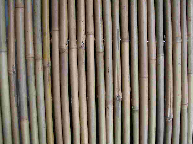 Bamboo Stick6