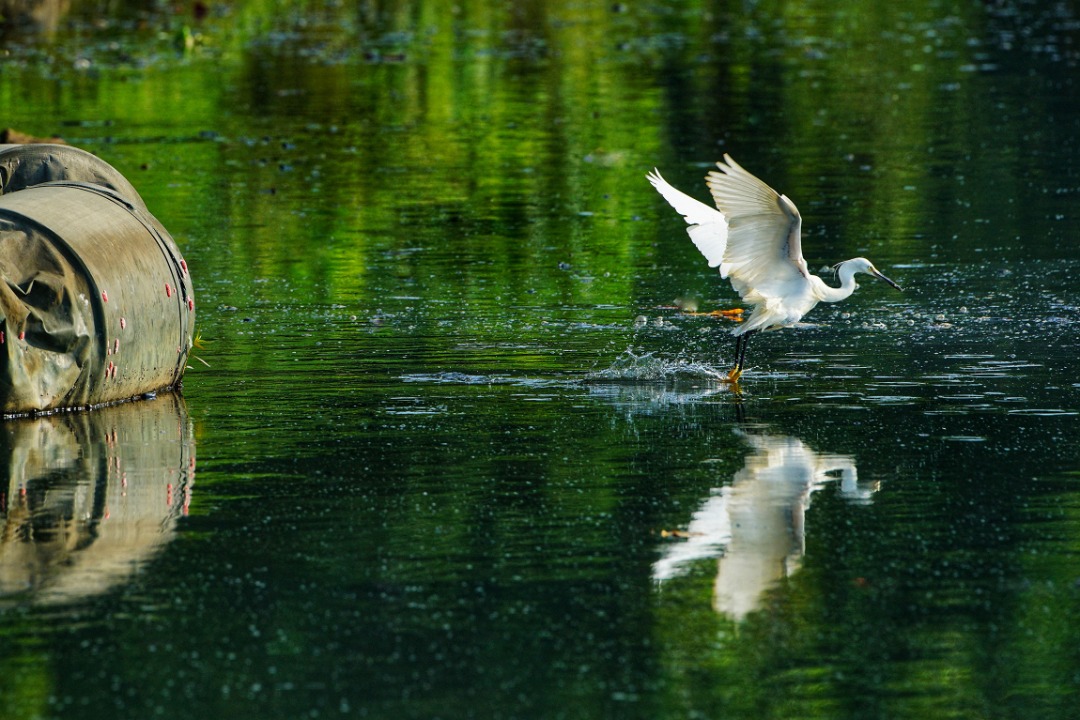 SUNWAY SERENE’S PHOTO CONTEST RECEIVED CLOSE TO 1,000 PARTICIPANTS