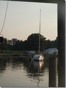DSCN8679