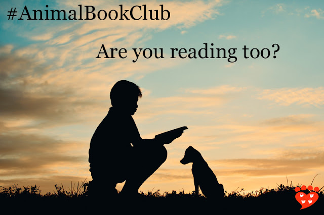 A boy reading a book to his dog, to illustrate the book choice for February: The Animals Among Us