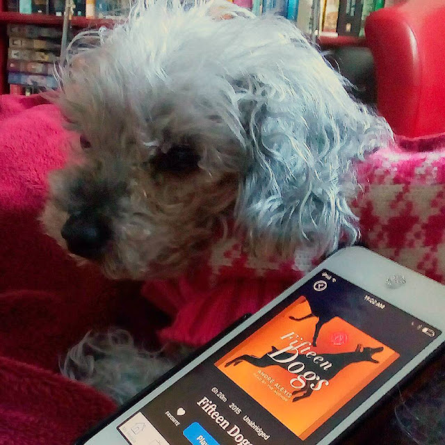 Murchie, dressed in a pink and cream houndstooth sweater, lies with a white iPod propped up againt his side. It has the orange cover of Fifteen Dogs on its screen. 