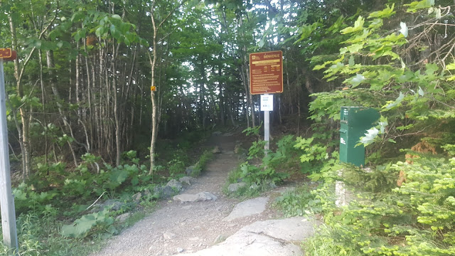 Fin de la section en forêt du sentier Ruisseau Deschênes