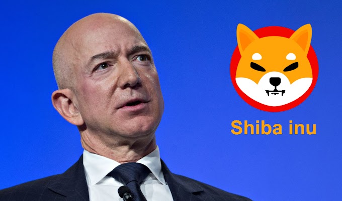 Shiba inu and Amazon Partnership Truth