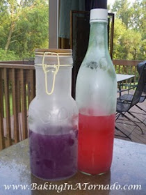 Homemade Blue Raspberry/Cherry and Watermelon Rum | www.BakingInATornado.com
