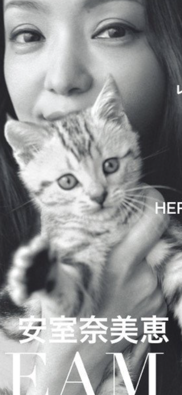Spurの表紙解禁 安室さんにガッシとされる猫ちゃんに私はなりたい Twitterボットはディーバの夢を見るか
