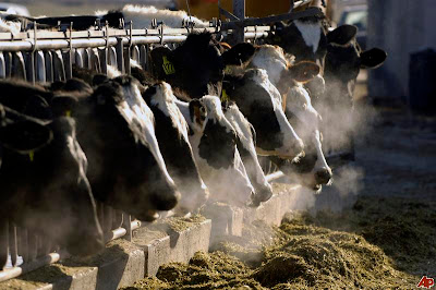 CVPS Cow Power Program For production of Electricity<br />