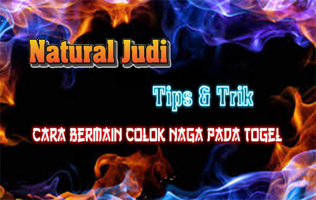 Cara Bermain Colok Naga Pada Togel