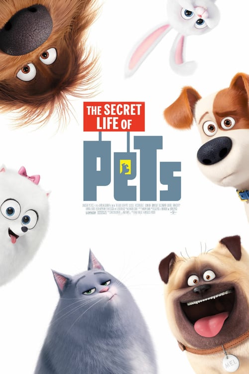 Pets - Vita da animali 2016 Download ITA