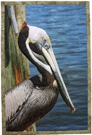 McKie_Pondering_Pelican