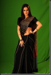 Shradha Arya Hot Saree Stills