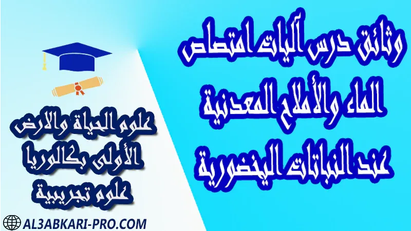 آليات امتصاص الماء والأملاح المعدنية عند النباتات اليخضورية درس ملخص أنشطة تمارين وثائق علوم الحياة والارض أولى باك علوم تجريبية الأولى بكالوريا   درس ملخص أنشطة تمارين وثائق جذاذات مادة علوم الحياة والارض علوم الحياة و الارض أولى باك علوم تجريبية الأولى بكالوريا البكالوريا اولى باكالوريا مادة علوم الحياة والارض مستوى أولى باك علوم تجريبية اولى باك الأولى بكالوريا أولى بكالوريا البكالوريا باكالوريا موقع التعليم عن بعد  مواقع دراسة عن بعد منصة التعليم عن بعد منصات التعليم عن بعد التعليم عن بعد مجانا برامج التعليم عن بعد مجانا التعليم عن بعد مجاناً افضل مواقع التعليم عن بعد مجانا منصات التعليم عن بعد مجانية منصات تعليم عن بعد