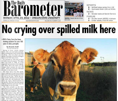 Cow front-page story Barometer April 23, 2012, p. 1