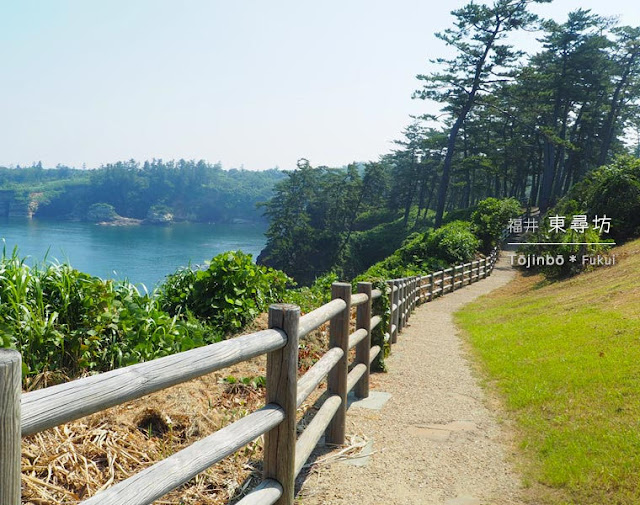 東尋坊：芝生公園＆荒磯遊歩道