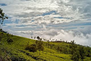 Coonoor Hill Station