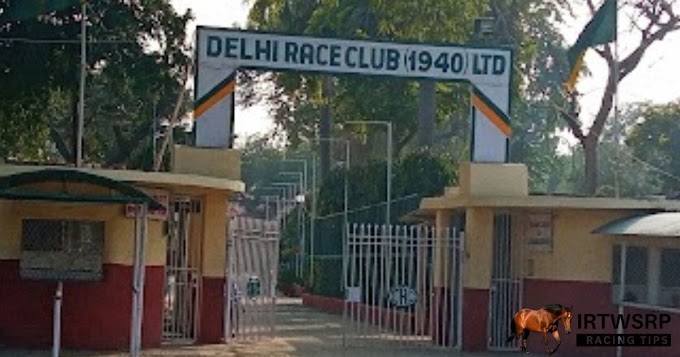 Delhi Race Tips 29/11/2022