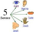 sense  Organs Five  organs senses of five http://theefive.blogspot.com/2011/12/five  worksheet Sense