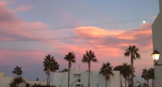 The pinky sky at sunset with the palm trees gently moving in the breeze.