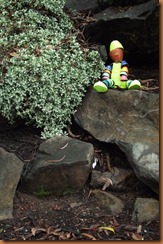 Blue Mountains 2011-06-16 031